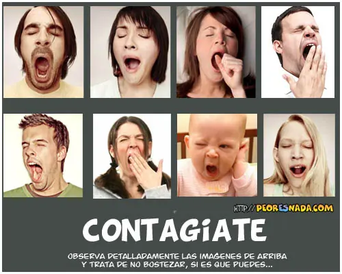 Humano