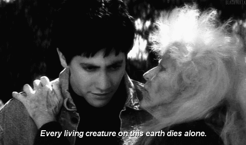 Así que viste donnie darko y no entendiste, pasa por aca