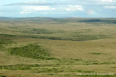 ecologia