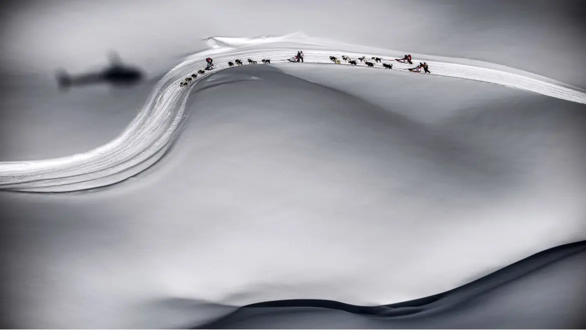 las fotos mas impactantes del mundo