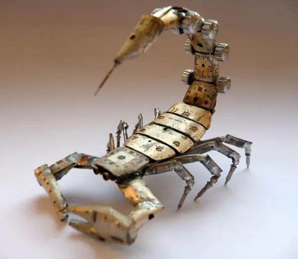 insectos