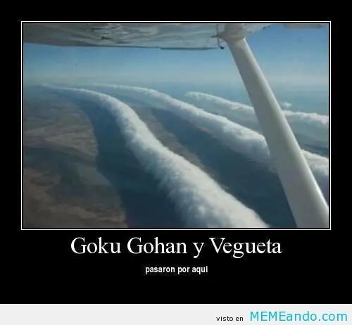 gohan