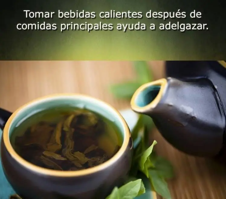 Curiosidades Sobre la Vida