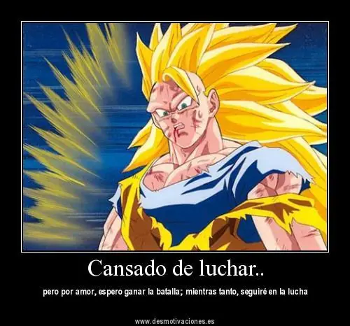 taringa