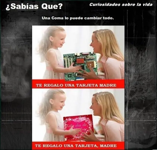 Curiosidades Sobre la Vida