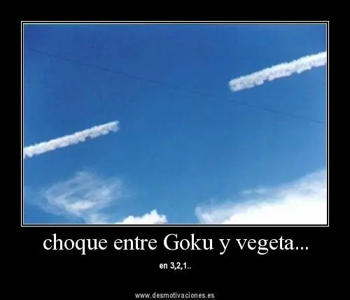 trunks