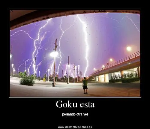 goku
