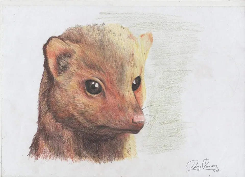 Dolina