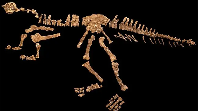 argentinosaurus