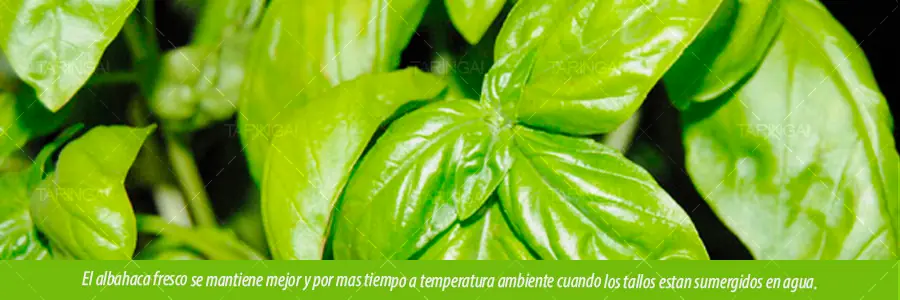 Tips de cocina imperdibles