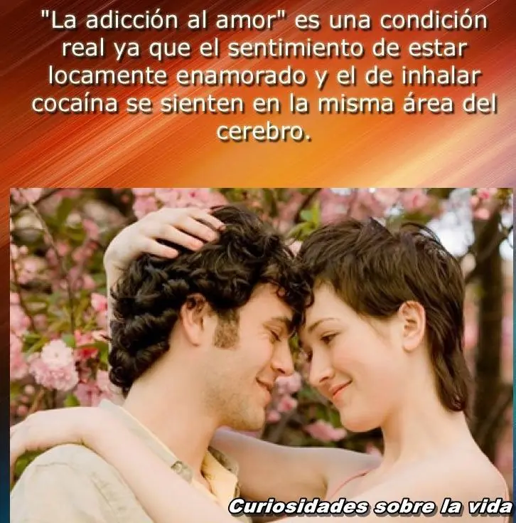 Curiosidades Sobre la Vida