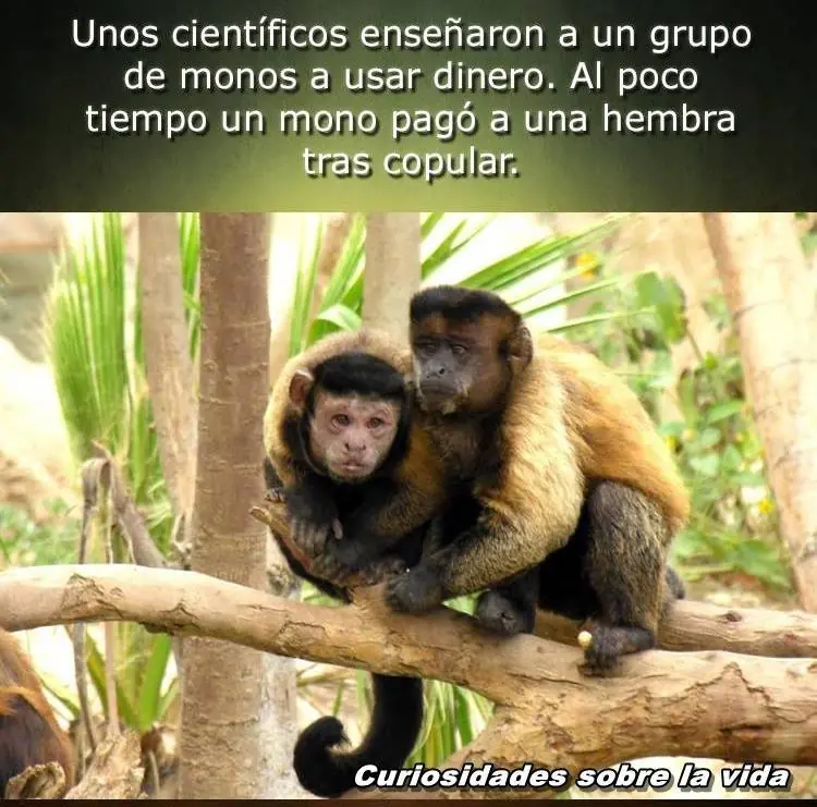 de la vida