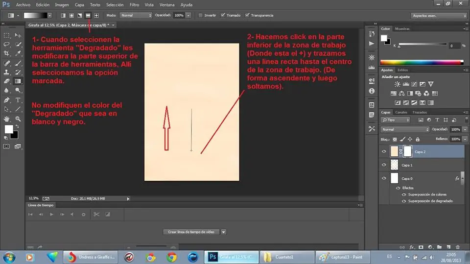 paso a paso