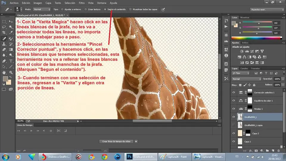 paso a paso