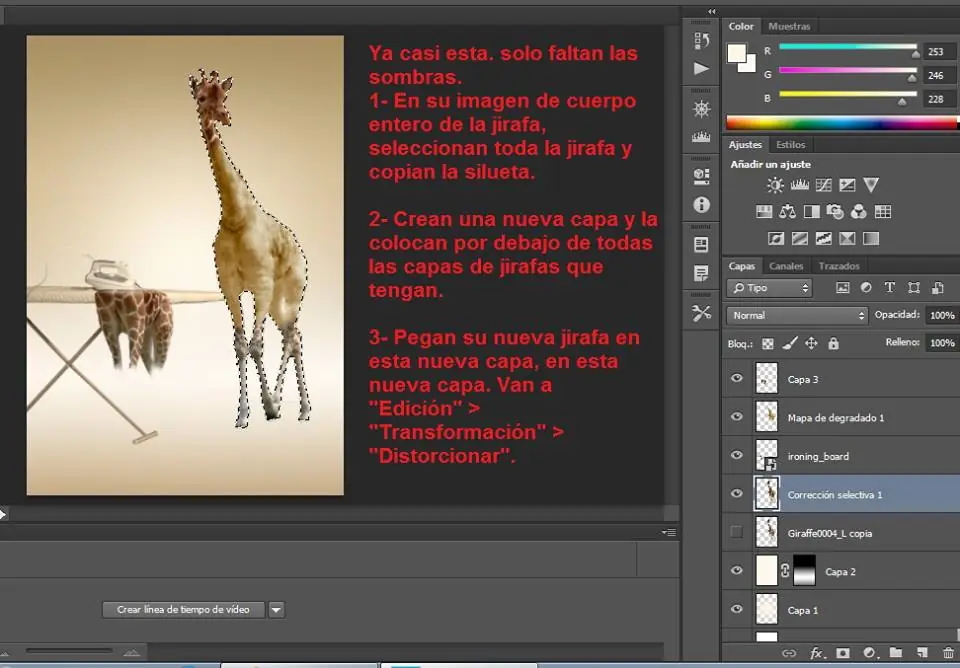 paso a paso