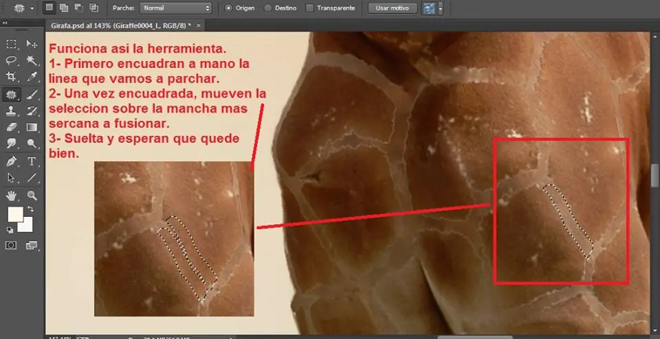 Desvistiendo una jirafa (Tutorial Photoshop CC)