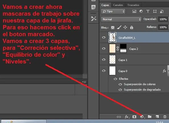 paso a paso