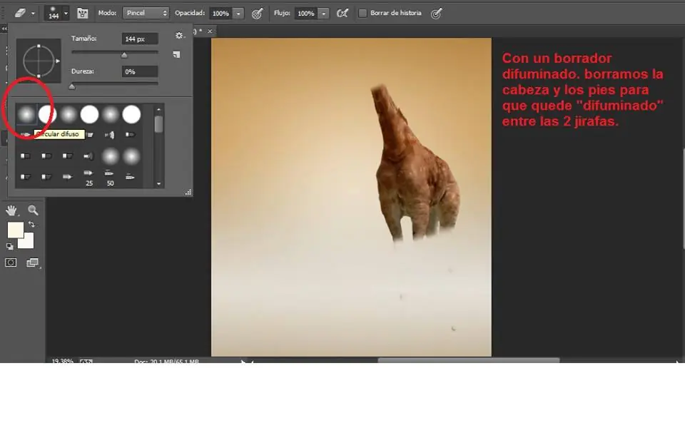 tutorial