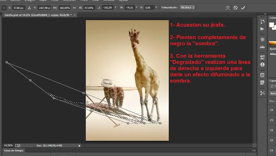 tutorial