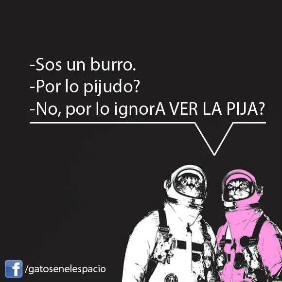 Gatos en el espacio (100 imágenes) Parte 3
