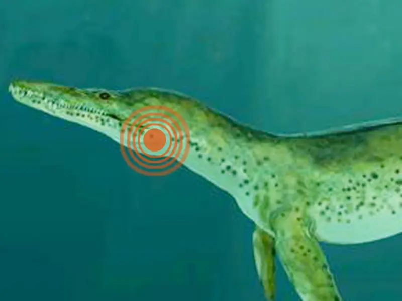 Los dinosaurios de la era Jurásica sufrían artritis