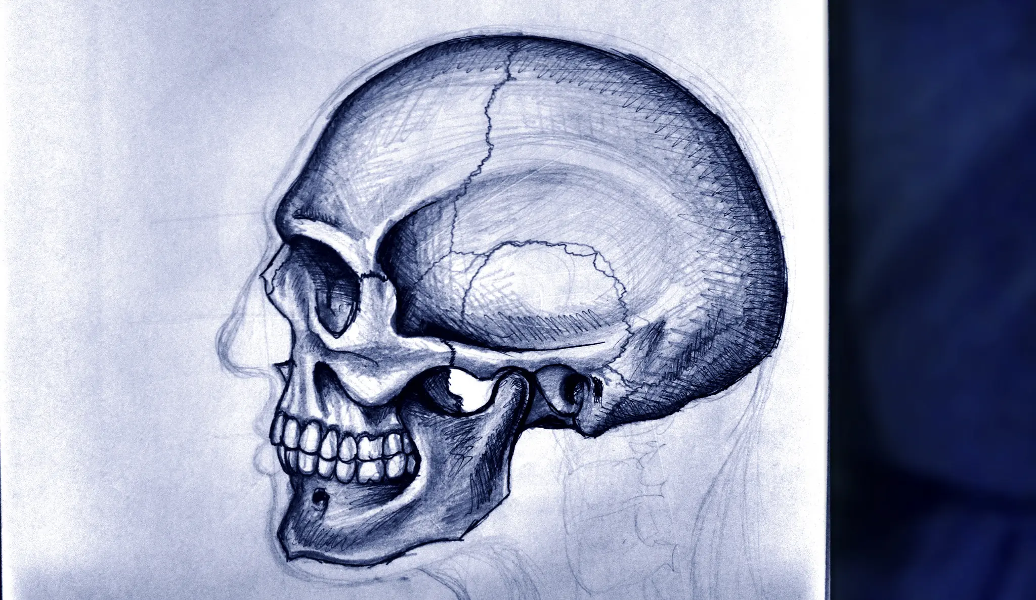 croquis