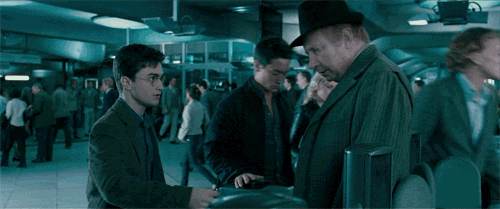 Potter