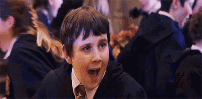 ¿Qué fue de la vida de los personajes de Harry Potter?