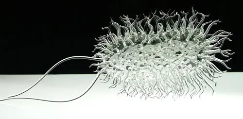 arte