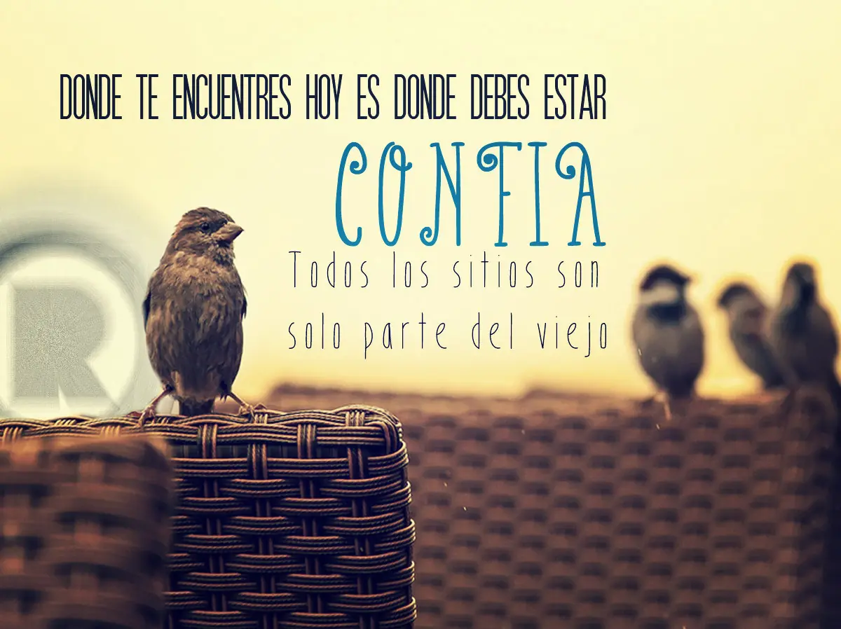 tres