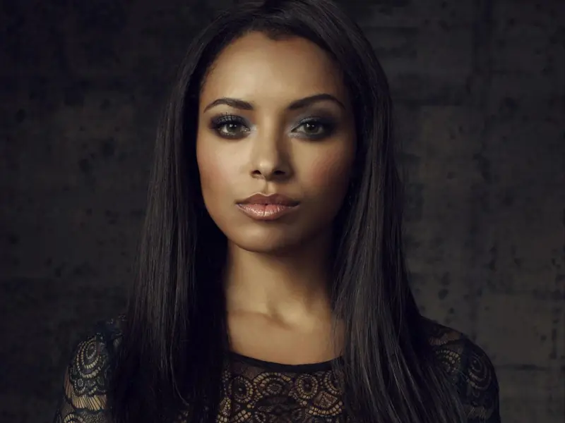 The Vampire Diaries