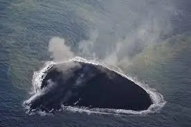 la isla