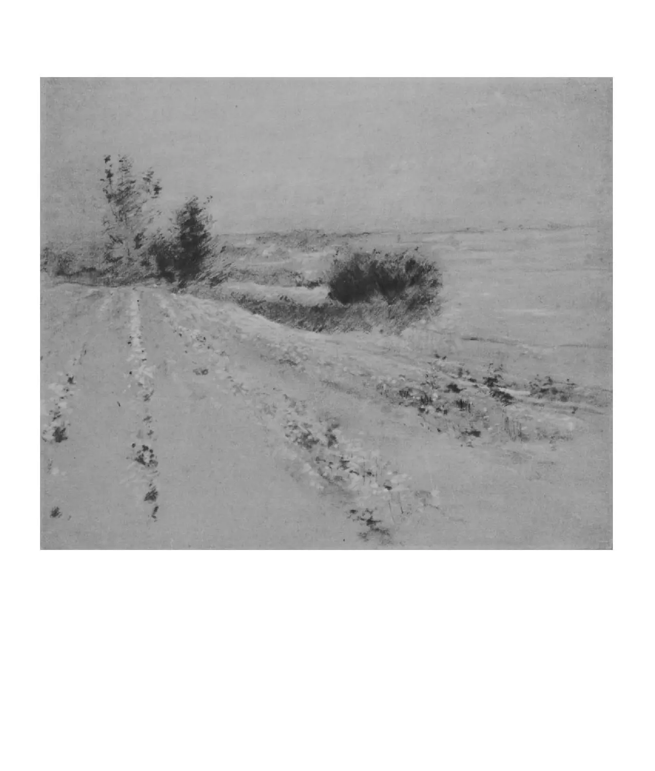 Dibujo