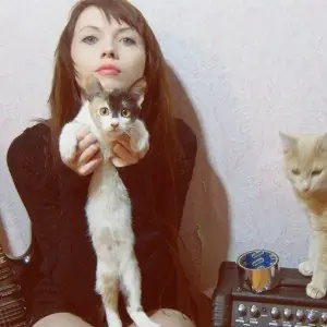 gatos