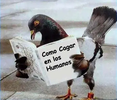 si tas al pedo miralo xD