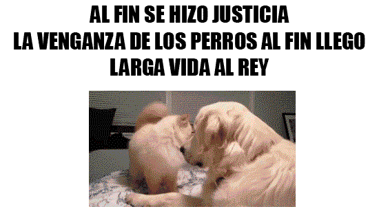 +5 si te hago sonreir en este dia lince