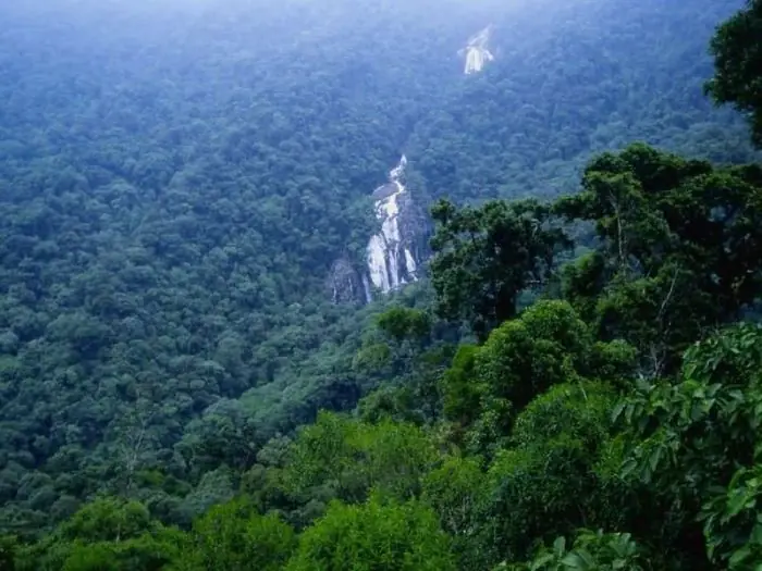 La Amazonia Desde Adentro que belleza...