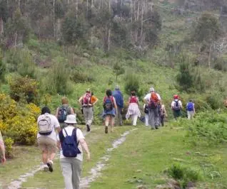 rutas