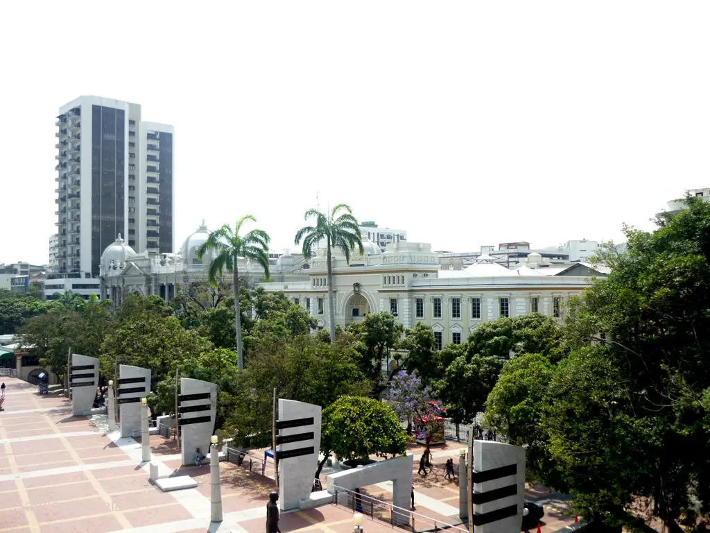 rio guayas
