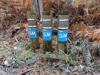 Senderismo en A Coruña y alrededores – enlaces