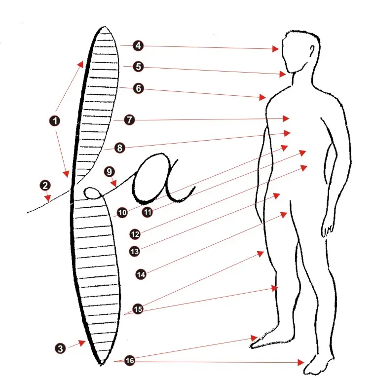 Tu letra habla [Grafología]
