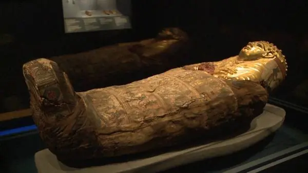 Con un escáner revelan cómo era la vida en Egipto hace 5.5