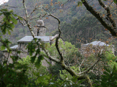 ortegal