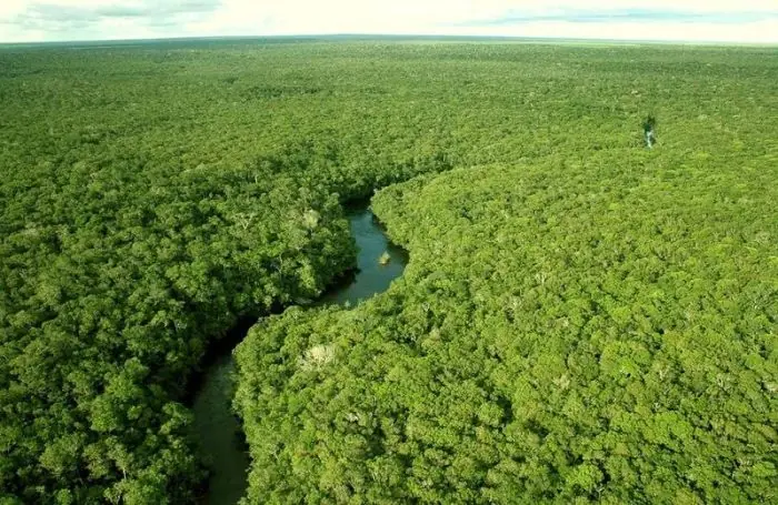 La Amazonia Desde Adentro que belleza...