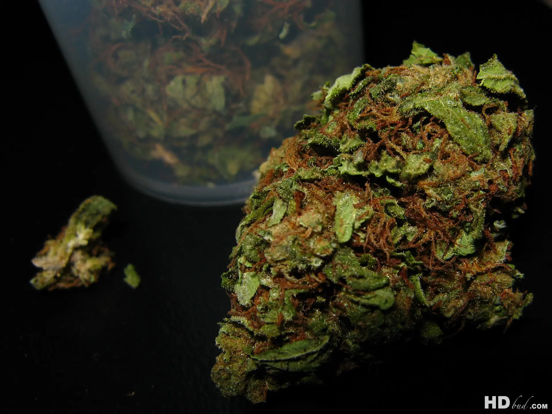 marihuana
