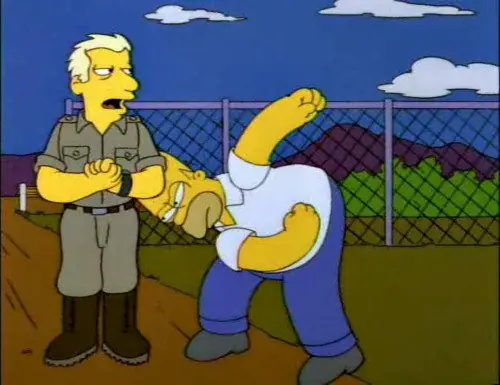simpsons