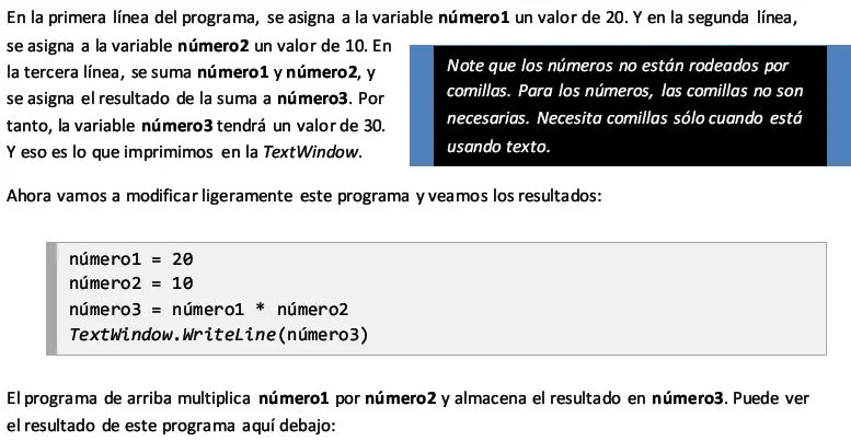 Lenguaje de programacion