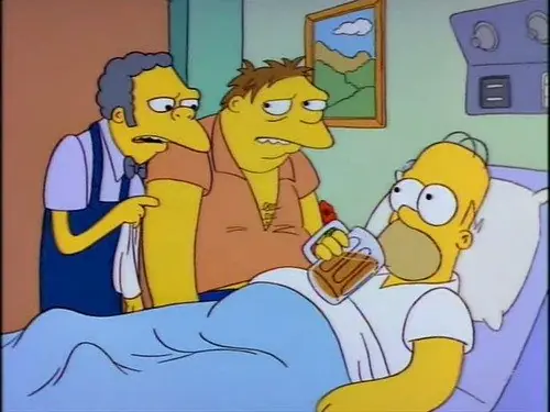 530 Momentos Simpsons "Solo p/ Entendidos"