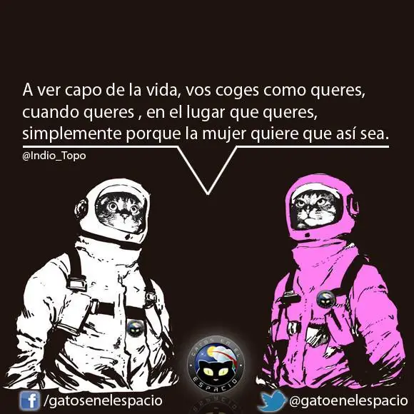 Gatos en el espacio! Colección Completa