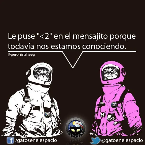 gatos en el espacio